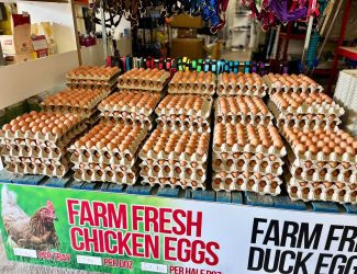 Cartons of farm fresh chicken and duck eggs